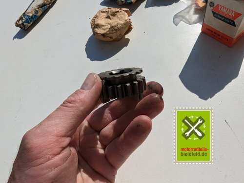 PXL_20240523_151825382